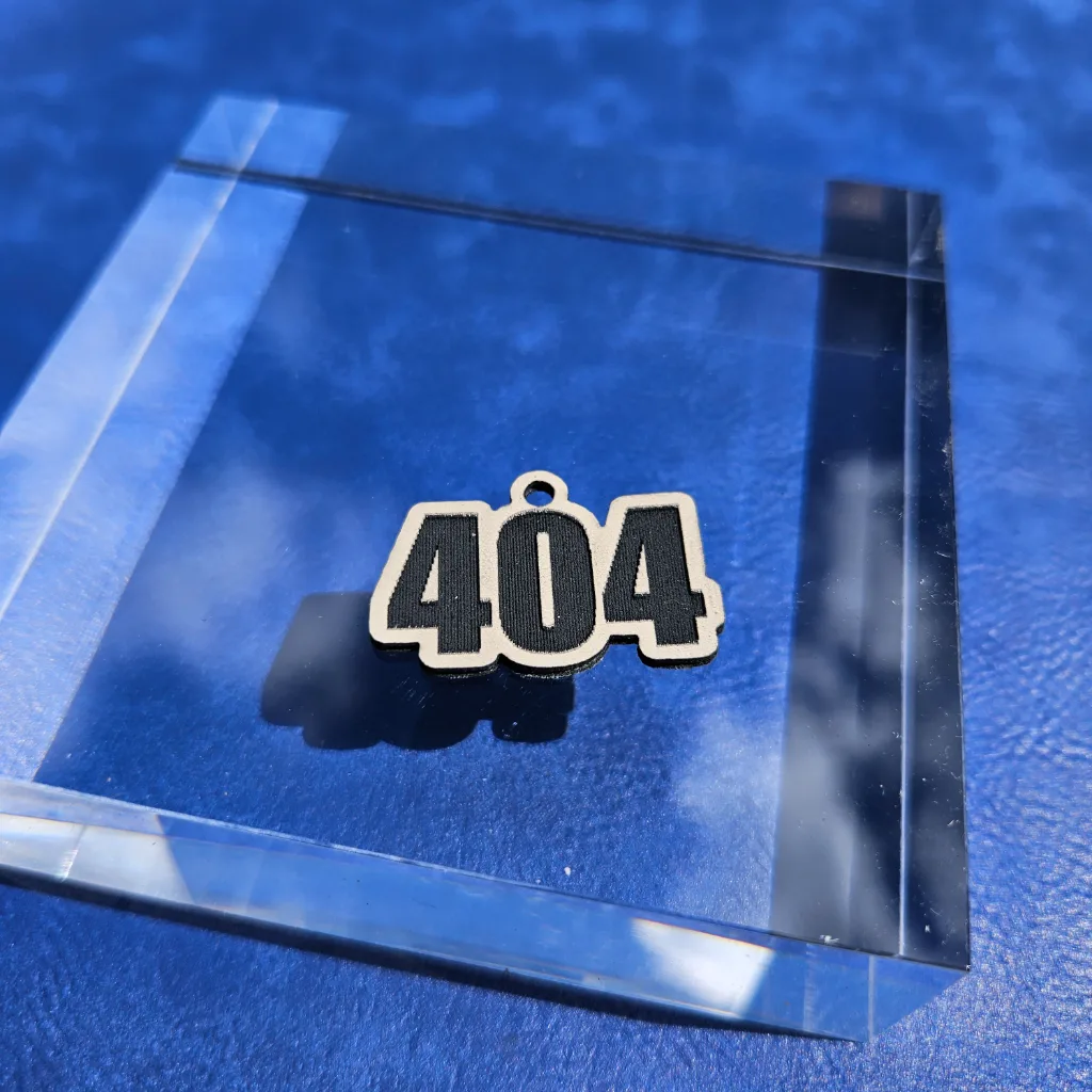 "404" Earrings